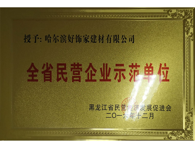 全省民營企業示范單位